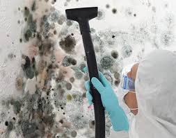 Mold Removal Services